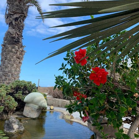 Little Paradise In El Medano 2 กรานาดิลญา เด อาโบนา ภายนอก รูปภาพ