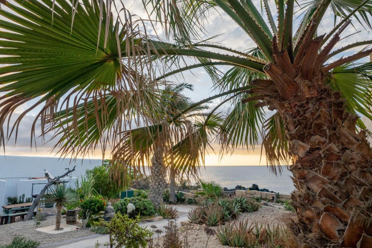 Little Paradise In El Medano 2 กรานาดิลญา เด อาโบนา ภายนอก รูปภาพ