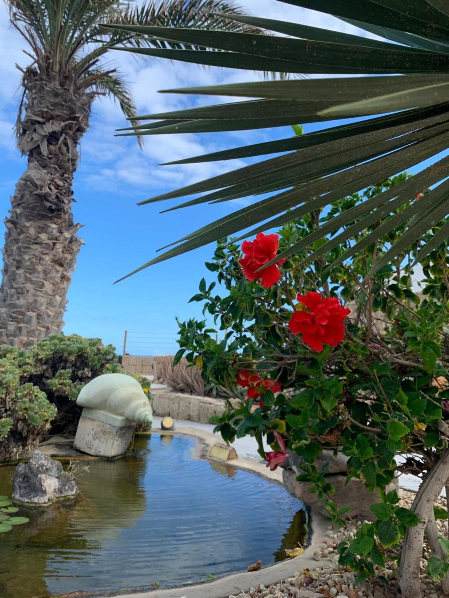 Little Paradise In El Medano 2 กรานาดิลญา เด อาโบนา ภายนอก รูปภาพ